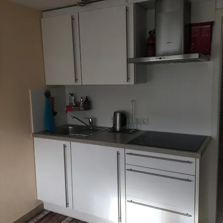 Familie David 巴特贝格匝本